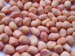 2010-10-15-02-44-33_peanut_kernels